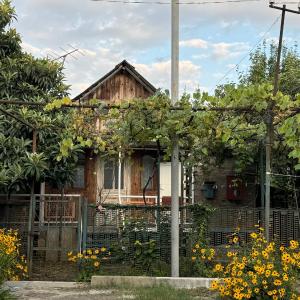 cottage in Chakvi