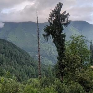 Hercue's Hillside Homestay