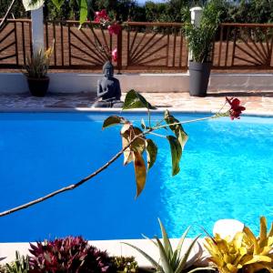 Joli studio rez de jardin, piscine, jacuzzi