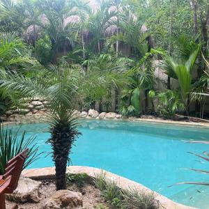 Ikal Tulum Oasis 1-Bdr Priv Plunge Pool