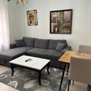 Cozy flat in the city center