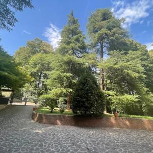 SIEPELUNGA B&B