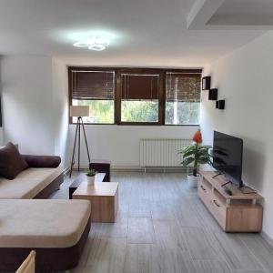 Tree house apartment
