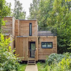 Tranquil Forest Retreat