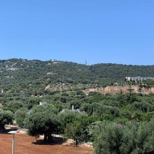 Appartamento con vista