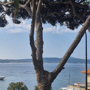 Appartement 2 pièces, vue mer, près port, 4 pers, parking, ascenseur, Sainte-Maxime - FR-1-780-51