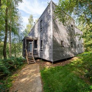 Forest Mansion Retreat