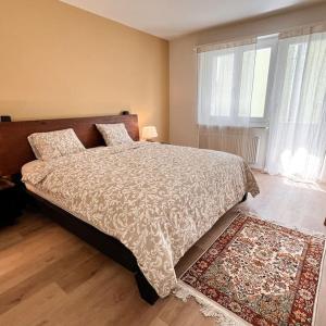 Bright Apartment in Oerlikon-Zurich 102-16