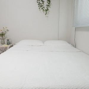 Seoul House