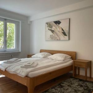 Sunny and very central 2BR flat - Sky8