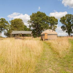 Ash Yurt