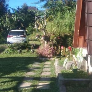 Bedugul puncak& giri camp