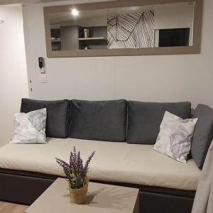 Mobile Homes Karlo & Dino - Two Bedroom Mobile Home with Terrace