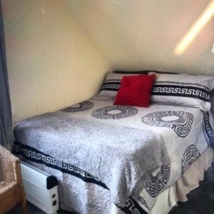 Grey room 4