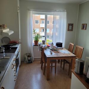 Apartment studio