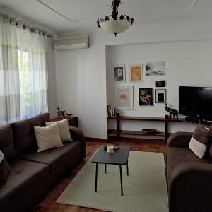 Tirana Center Rustic Retreat