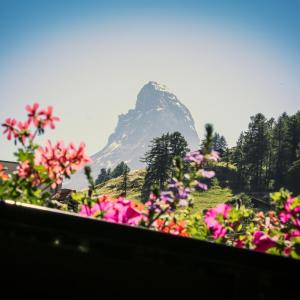 Villa Taugwalder I Monte Rosa