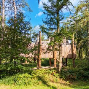 Award-Winning Forest Stay