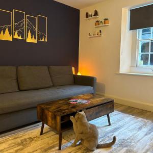 Entire Apartment in Dublin