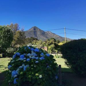 Next to Heaven Guesthouse