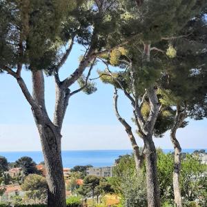 Maison bord de Mer au calme sous les Pins