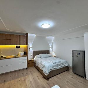 EcoLuxe Home Studio 1