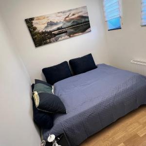 Zanna`s Apartment - Matisa 101