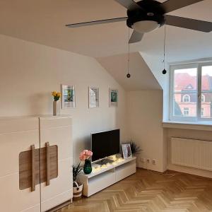 Modern apartment in the city centre
