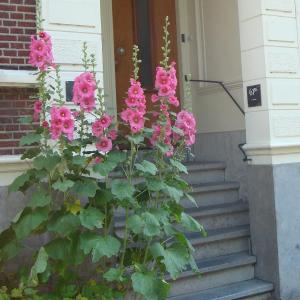 Historic canal house in green residential area