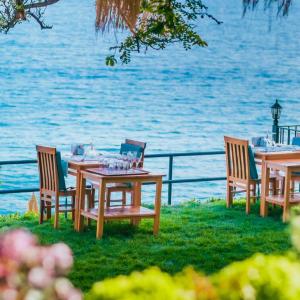Sardunya Andifli Otel