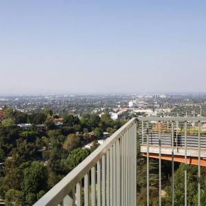 Mountain View Oasis