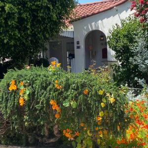 Hancock weho