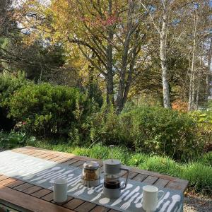 Bramber Cottage Hogsback, Living With Joy!