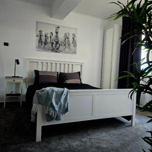 Home Studio Cismigiu