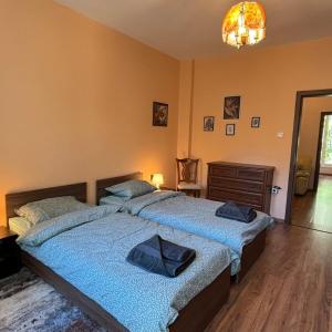 Quiet 2 bedrooms downtown apart