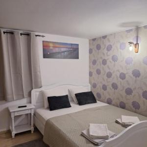 Vila Ris Piata Romana