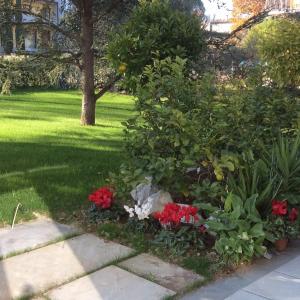 La Veranda Sul Giardino