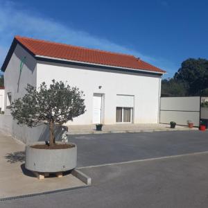 Monte dos Pastorinhos II