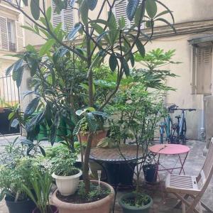Appart charmant à Montmartre