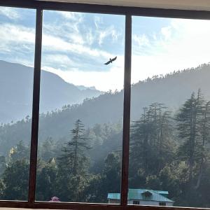 Whistling Pines Homestay