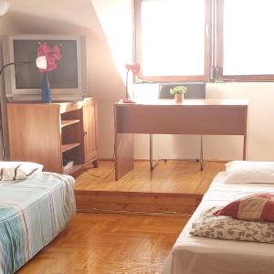 Hakuna Matata - Room in Budapest - Near Buda Castle, Parliament and Margaret Island
