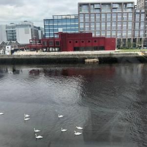 3bed 3bath Liffey river view