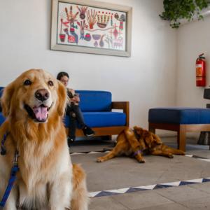 Puerto de Luna Pet Friendly and Family Suites