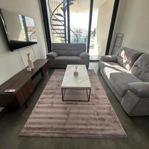 Luxurious two bedroom apartment with roof garden