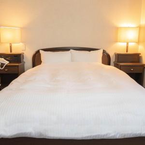 Hotel Alpha Inn Akita - Vacation STAY 67295v
