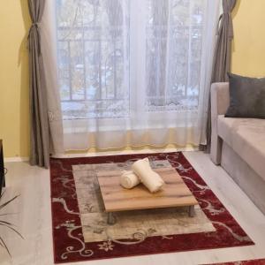Peaceful studio in the city center, close to subway, Medical University