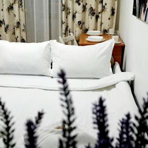 Isabell Home