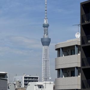 森下駅2分 sky tree view 501