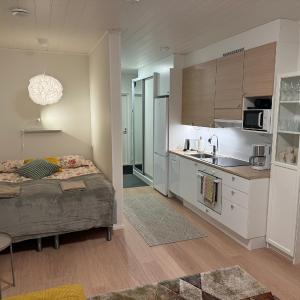 Studio Mukka, Ivalo Center