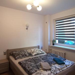 Apartament JUKI, mieszkanie obok Katowice Wynajem na doby, krótkoterminowy, 2 pokoje balkon, 50m2,- po kapitalnym remoncie 2-ga sypialnia jest częścią salonu blisko Centrum Leczenia Oparzeń 2,5 km